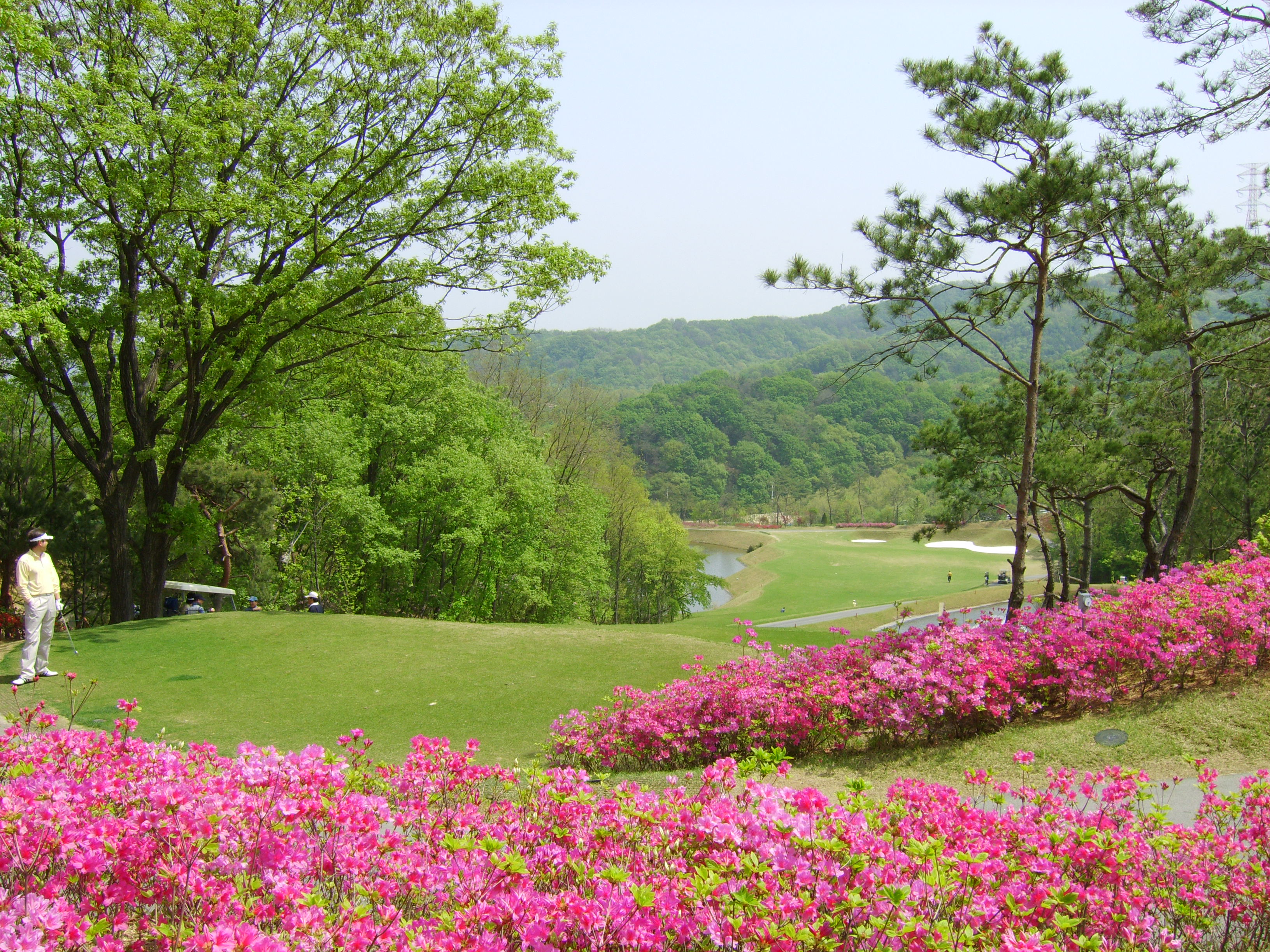 용인컨트리클럽 회원권