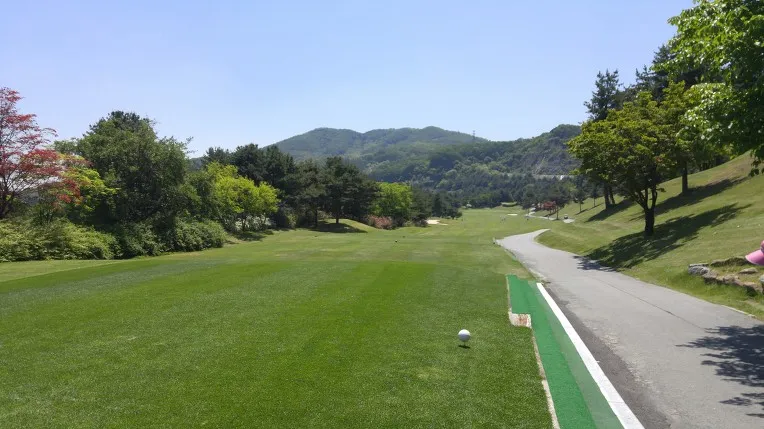 강남300CC 1.5억 무기명회원권 전경