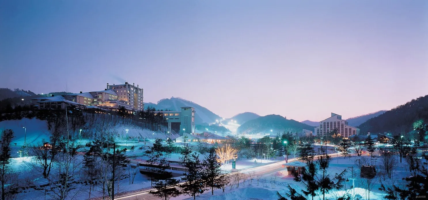 모나용평 베르데힐 49평 회원권
