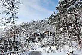 리솜리조트 제천 36평 회원권